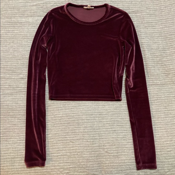 Aritzia Tops - Aritzia Wilfred Free purple velvet top